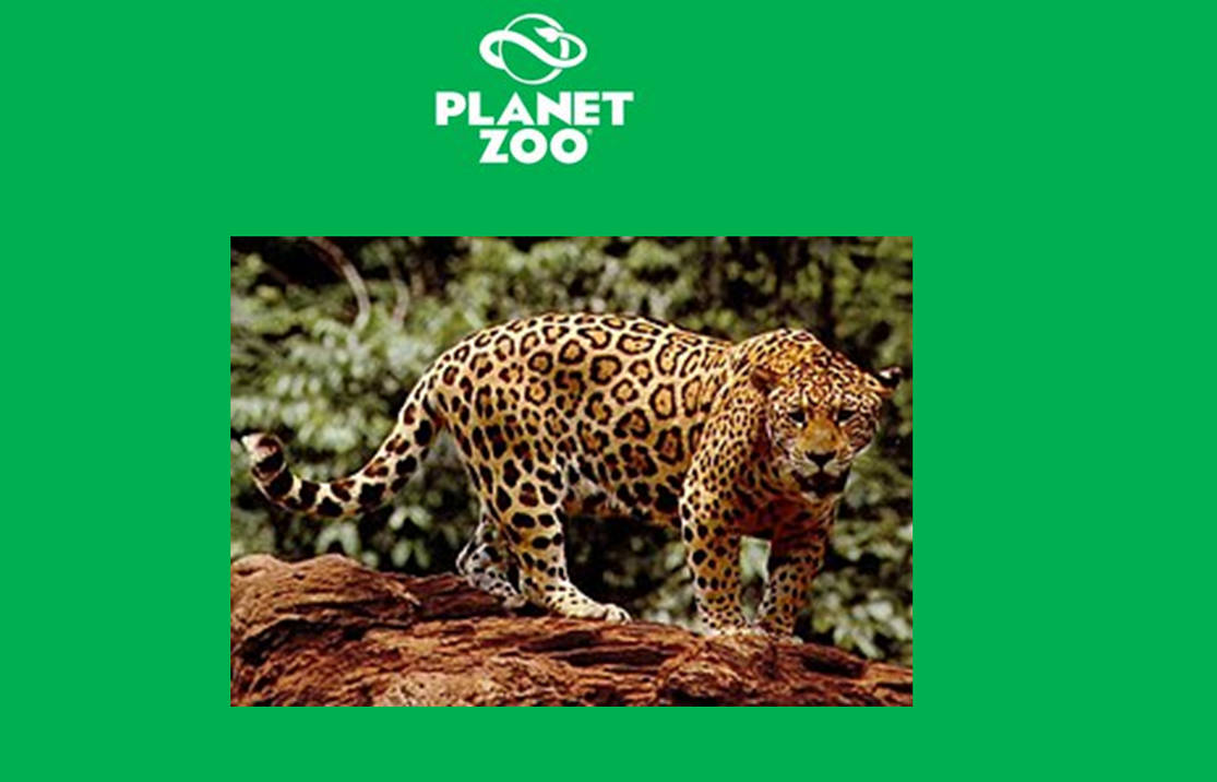 Planet Zoo Jaguar by scottyiam on DeviantArt