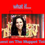 what if Julia Louis-Dreyfus  on The Muppet Teletho