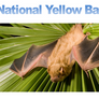 National Yellow Bat Day