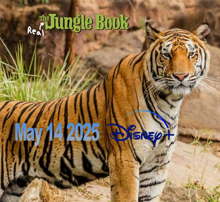 Real The Jungle Book By Scottyiam On DeviantArt real-the-jungle-book-by-scottyiam-on-deviantart