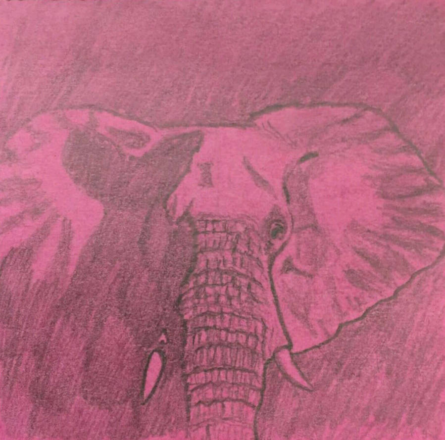 Sticky Elephant Sticky Elephant doodle by ChrisdeBeer on DeviantArt
