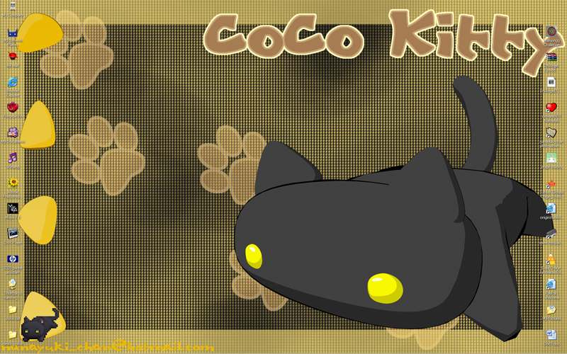 coco kitty