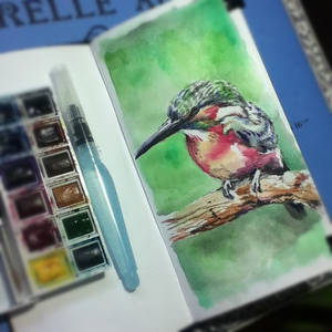 watercolors practice - one more