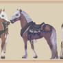 Medieval horse