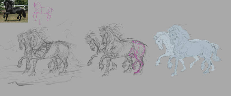 Sketching horses exercise!
