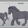 Horse breeds A, B and C