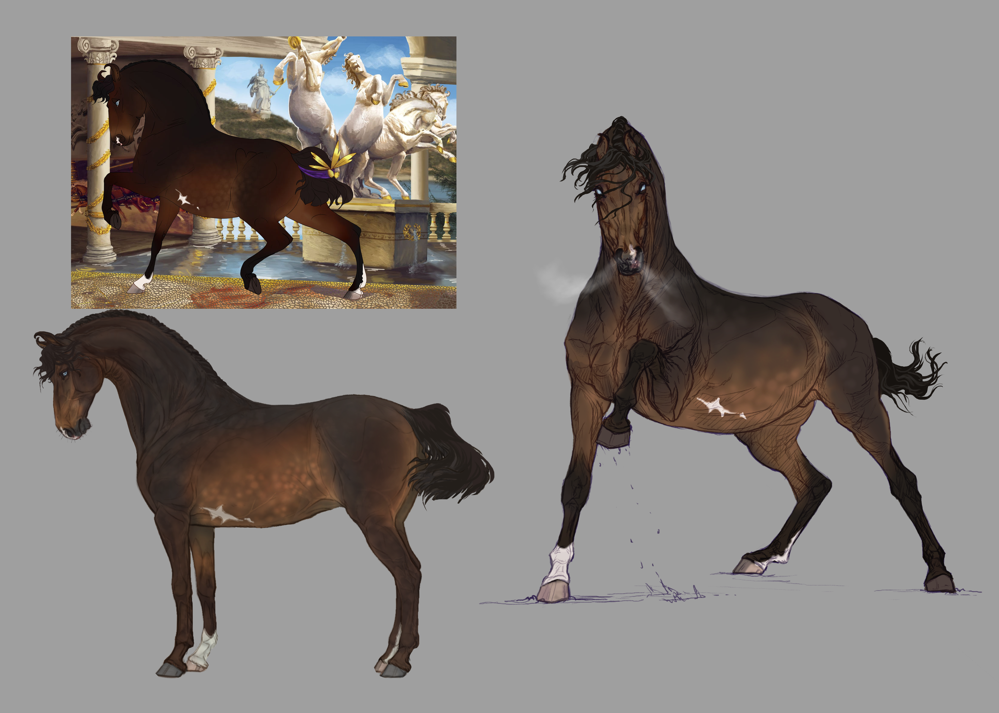 Sneak peek of new stallion