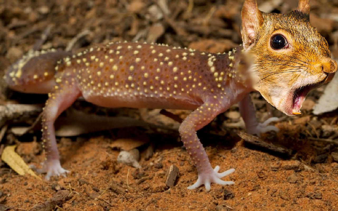 Sworl Lizard Squizard - Splice lizard with squirrel head in tre by Mem3M4st3r on ...