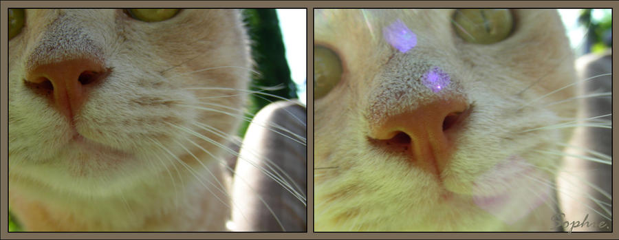 Nosy Parker by DemonicView on DeviantArt