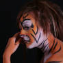 Studio shoot tiger