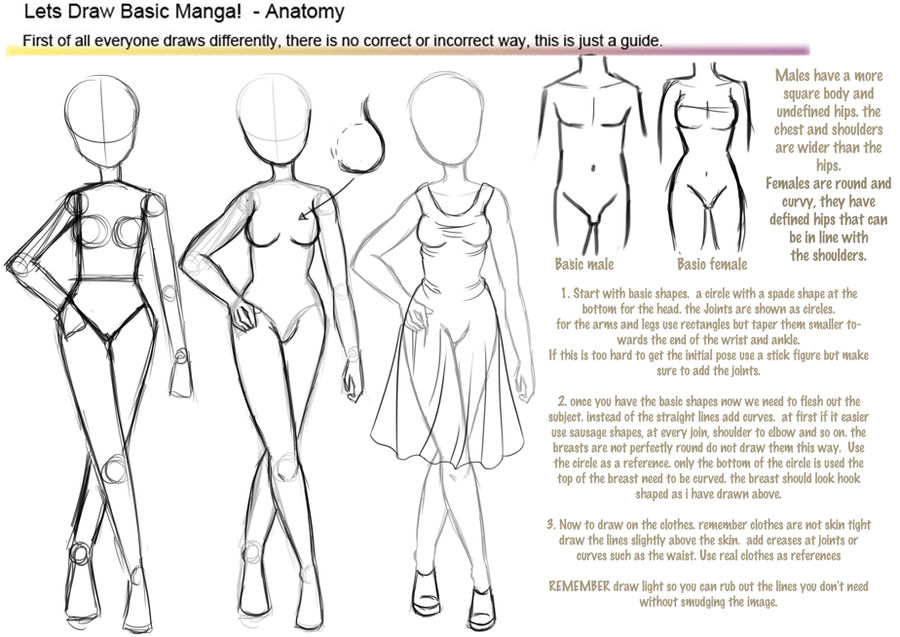 Basic manga anatomy tutorial