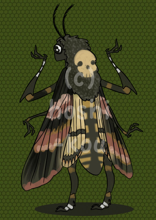 Deviantart Insect Lady 30DMGC - 13. Insect Girl by hoshi-kou on DeviantArt