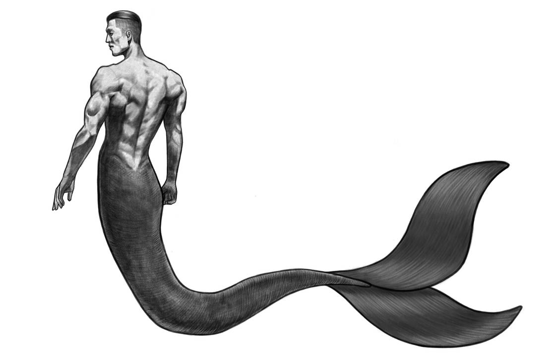 Male mermaid | merman by aiiselo on DeviantArt