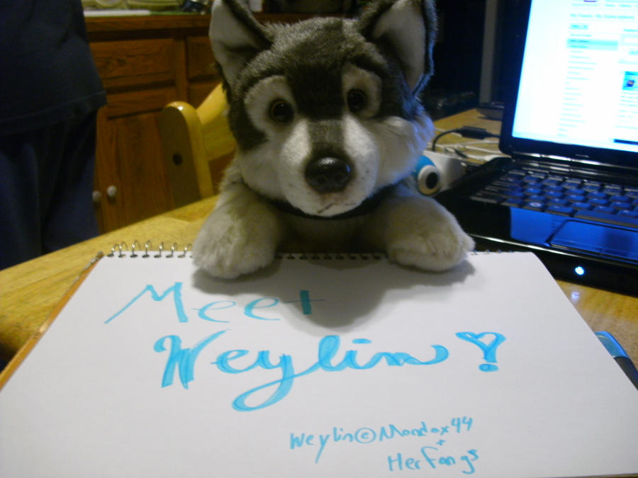Meet Weylin pt 1 by LunariaSeere on DeviantArt