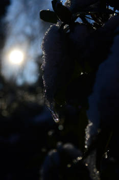 Frozen droplet