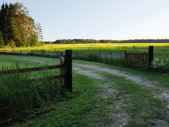 Countryside