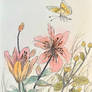 The Stargazer Lilies