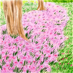 How Many Flowers Fall in Dreams
