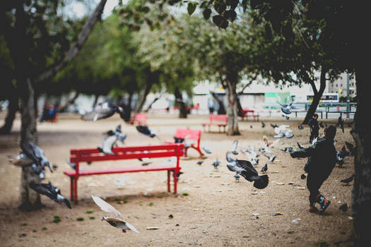 Tel Aviv - Carmel Park