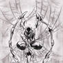 +spiderman+