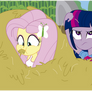 The Hooffields and McColts - Equestria Girls