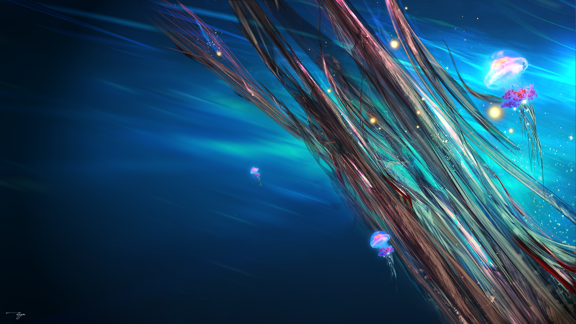 Jellyfish Wallpaper