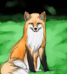 Fox Budy