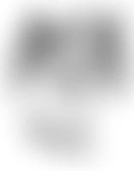 Elvira: Distress of the Dark