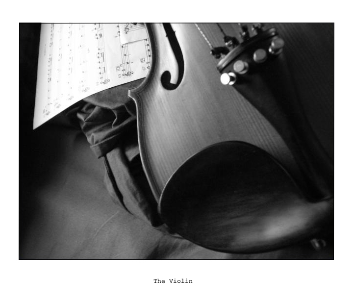 The Violin