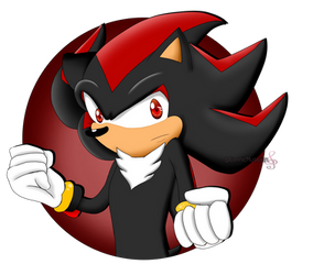 Shadow the Hedgehog