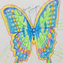 Double aura butterfly 