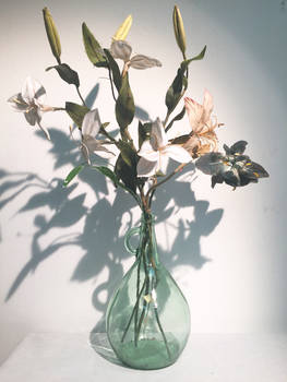 Flowers in a vase observation