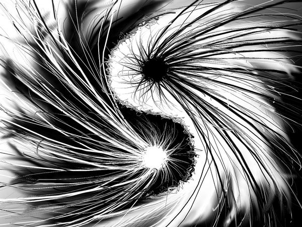 yin yang of chaos and disorder