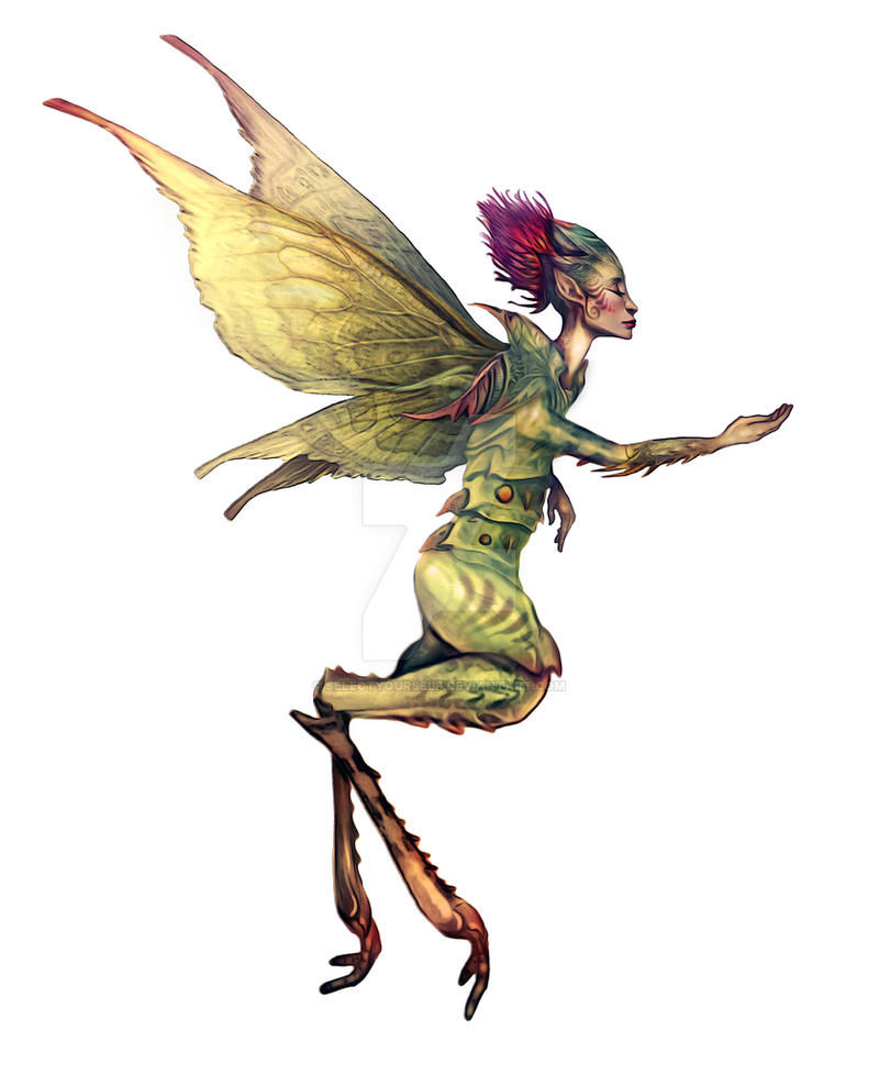 Tarakis / Fairy Concept...