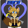 Sora from Kingdom Hearts Fox