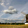 Windmill Fields
