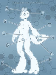 Diagram of a Intimeo
