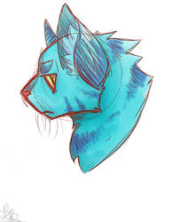 cat sketch