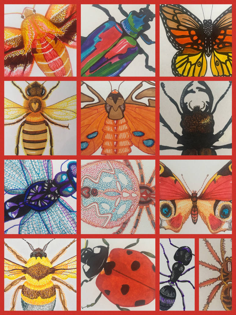 Random Bug Drawing 13 Bug Drawings by irenahalder on DeviantArt