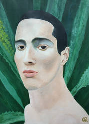 The Artist John Frusciante (aged 22)