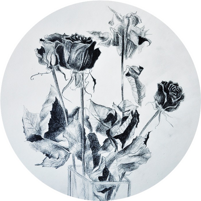 dead roses by kamiira-chan on DeviantArt