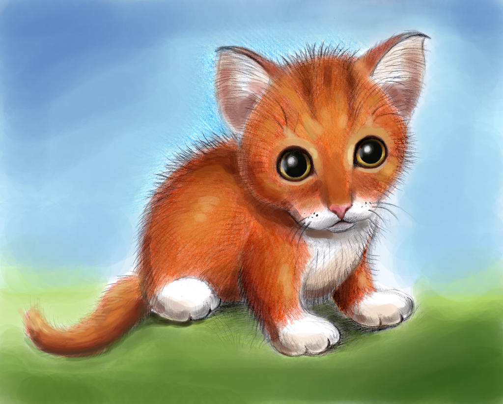 Cat by zdrer456 on DeviantArt