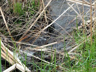Bubbling Stream 3 by RedCobalt on DeviantArt