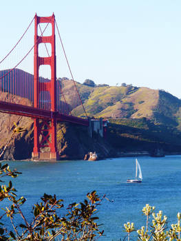 Golden Gate Bride 2