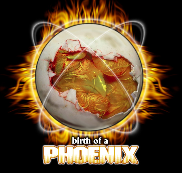 Birth of a Phoenix