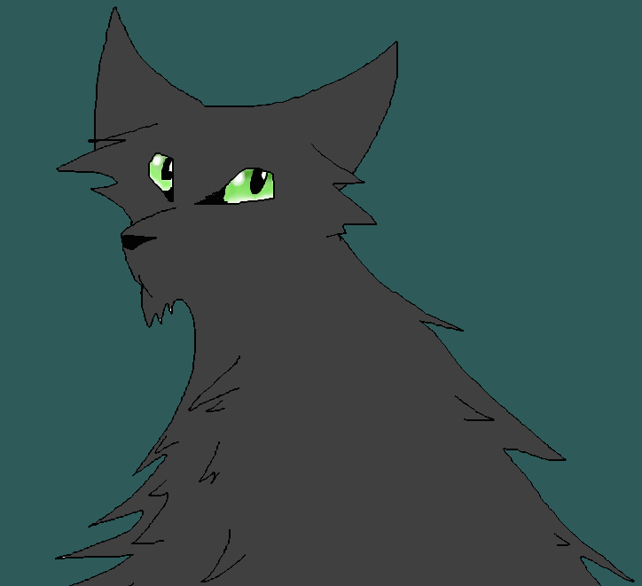 Hollyleaf