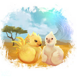 lovely chicks