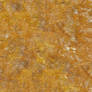 Orange Mossy Rock (Seamless Texture)