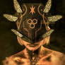 The Wasp Lich