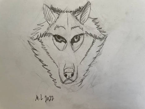 Wolf tutorial